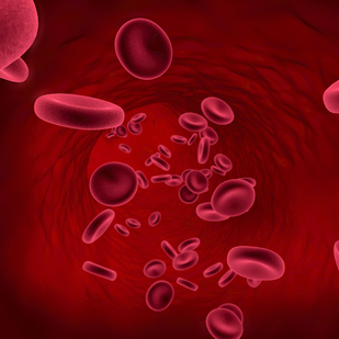 Rafforza il Cuoio Capelluto per la Crescita