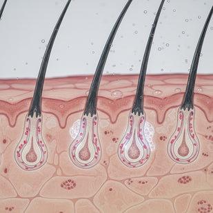 Stimola la Crescita alla Radice